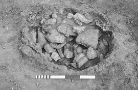 NMSA 03 586P