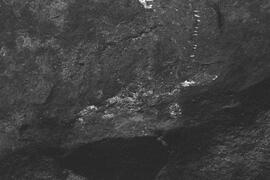 NMSA 03 8315P