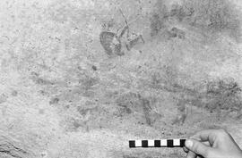 NMSA 03 402P