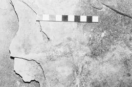 NMSA 03 1960P
