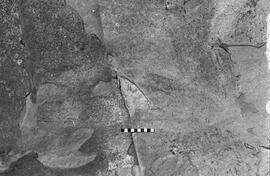 NMSA 03 2786P