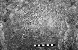 NMSA 03 5762P