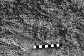 NMSA 03 3341P
