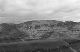 NMSA 03 6874P