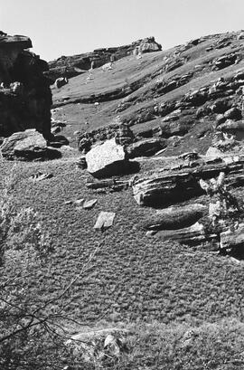 NMSA 03 6473P