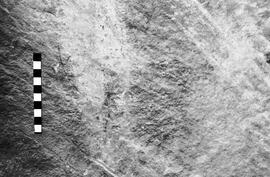 NMSA 03 4330P