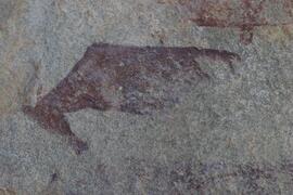 NMSA RSA MSA1 6D