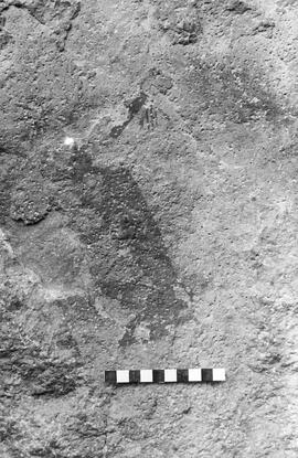 NMSA 03 1701P