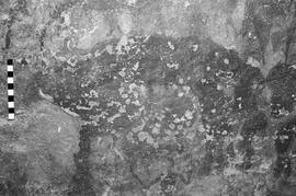 NMSA 03 5315P