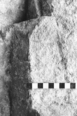 NMSA 03 1605P