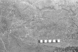 NMSA 03 1485P