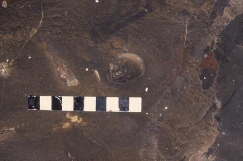 Open original Digitaal object