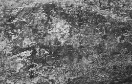 NMSA 03 7340P
