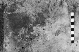 NMSA 03 5638P