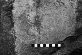 NMSA 03 4002P