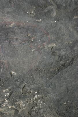 NMSA RSA GEO3 10D