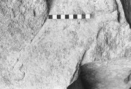 NMSA 03 1601P