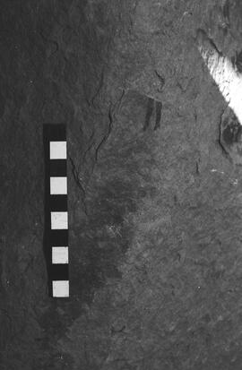 NMSA 03 2399P