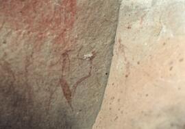NMSA 02 47P