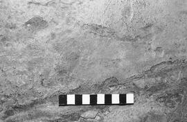 NMSA 03 1435P