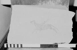 NMSA 03 7139N