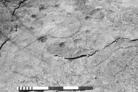 NMSA 03 7632P