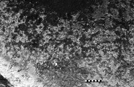 NMSA 03 3334P