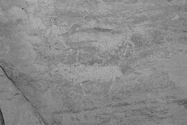 NMSA 03 8367P