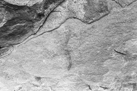 NMSA 03 963P
