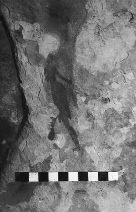 NMSA 03 4281P