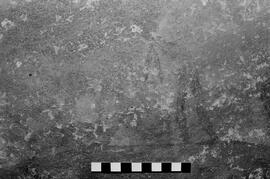 NMSA 03 5318P