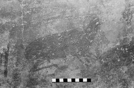 NMSA 03 5276P