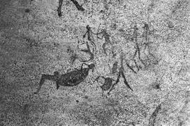 NMSA 03 48N