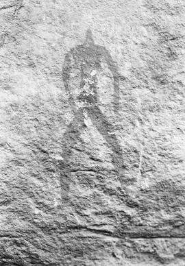 NMSA 03 7800P