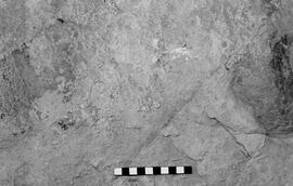 NMSA 03 6862P