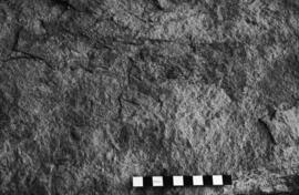 NMSA 03 8765P