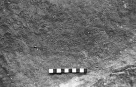 NMSA 03 1742P