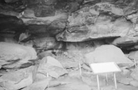 NMSA 03 8832P