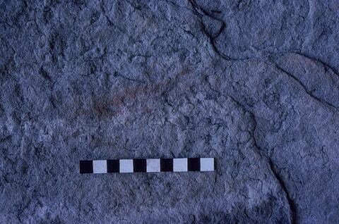 Open original Digitaal object