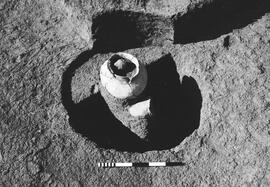 NMSA 03 736P