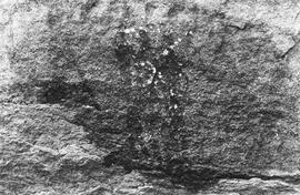NMSA 03 201P