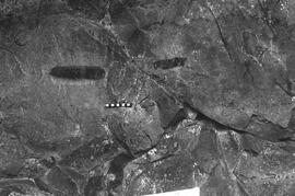 NMSA 03 2509P