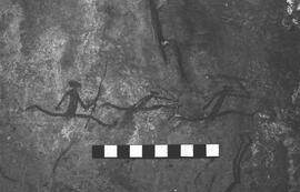 NMSA 03 2096P