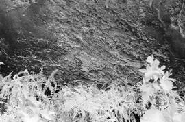 NMSA 03 4013P