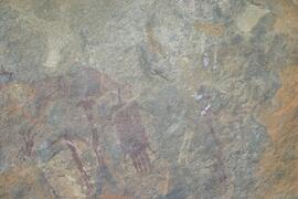 NMSA RSA SCD1 25D