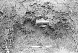 NMSA 03 8176P