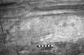 NMSA 03 8868P