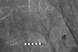 NMSA 03 2076P