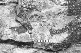 NMSA 03 318P