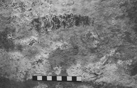 NMSA 03 5397P